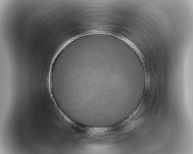 X0000096631294200802051059