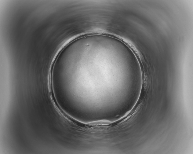 X0000096631295200802051059