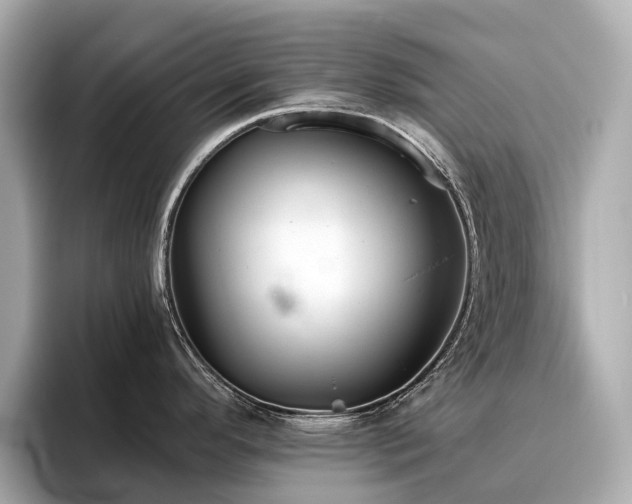 X0000096631296200802051059