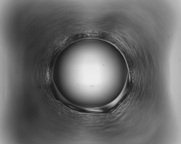 X0000096631298200802051058