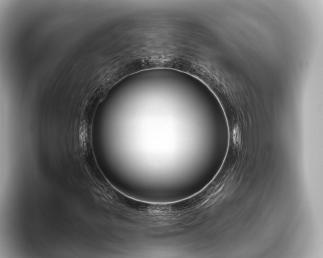 X0000096631299200802051058