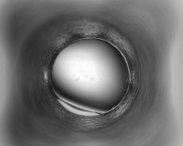 X0000096631300200802051058