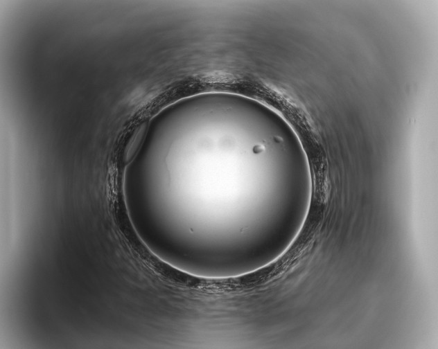 X0000096631301200802051058