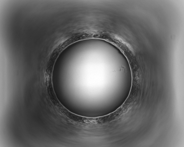 X0000096631302200802051058