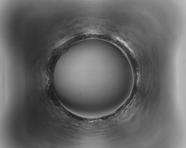 X0000096631303200802051058
