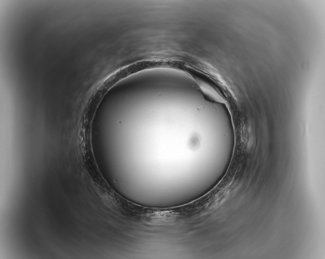 X0000096631304200802051058