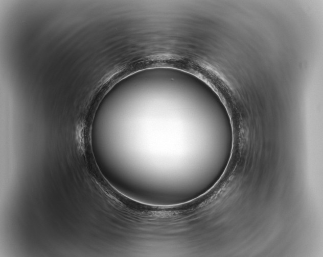 X0000096631305200802051058