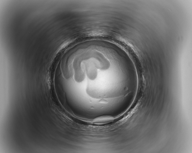 X0000096631306200802051058