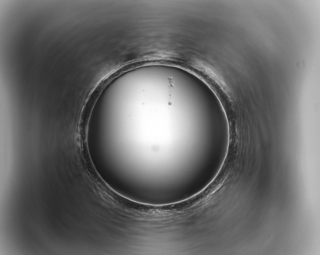 X0000096631308200802051058