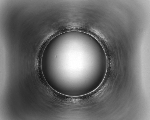 X0000096631309200802051058