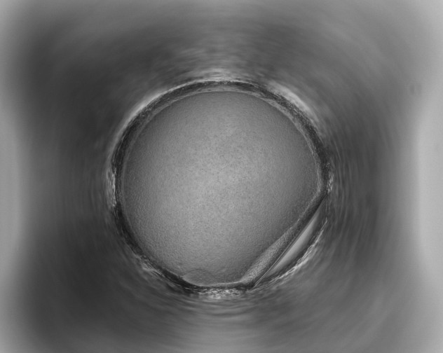 X0000096631310200802051058