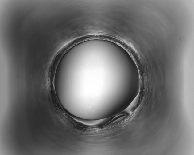X0000096631311200802051058