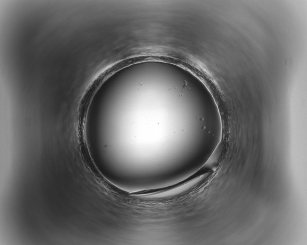 X0000096631312200802051058