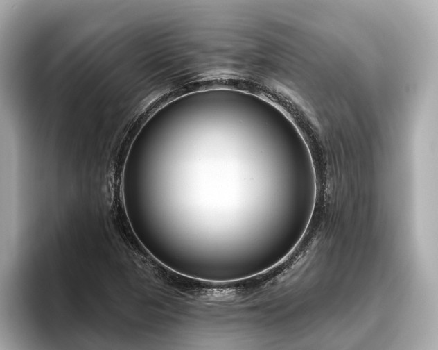 X0000096631313200802051058