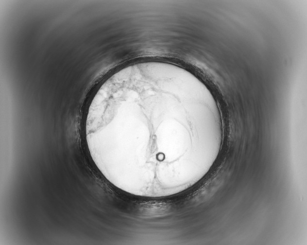 X0000096631314200802051058