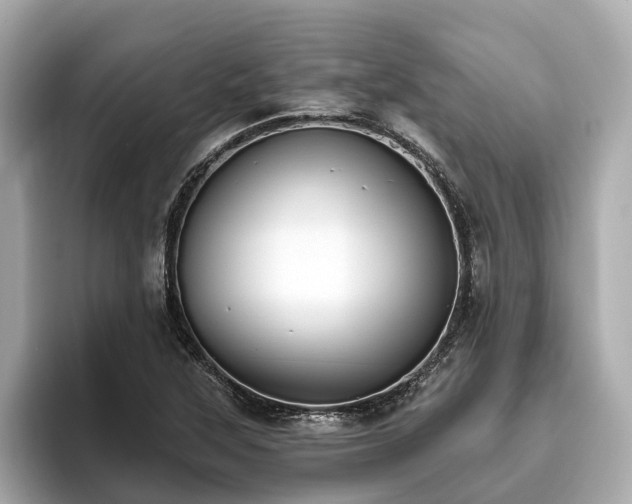 X0000096631315200802051058