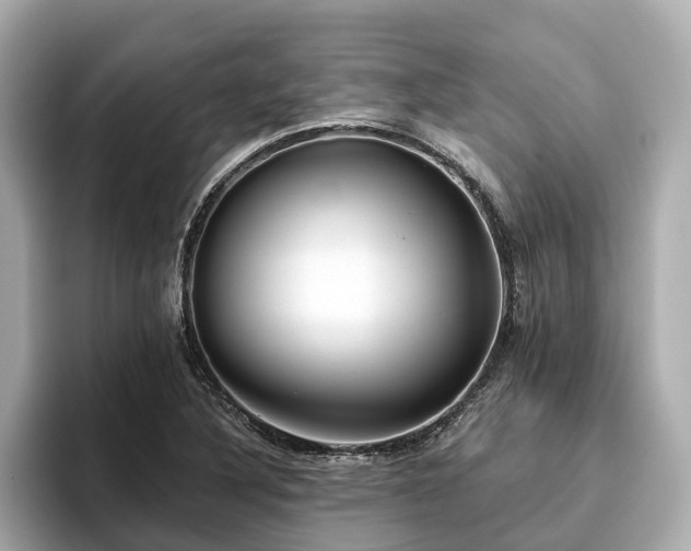 X0000096631316200802051058