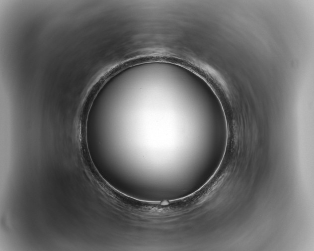X0000096631318200802051058