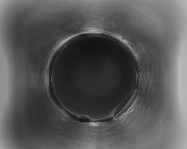 X0000096631319200802051058