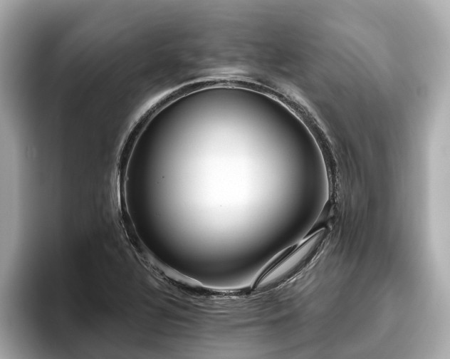 X0000096631320200802051058