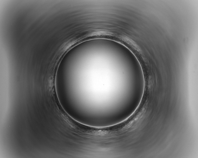 X0000096631321200802051058