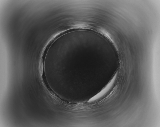 X0000096631323200802051058