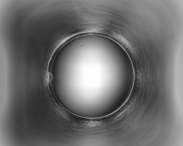 X0000096631324200802051058