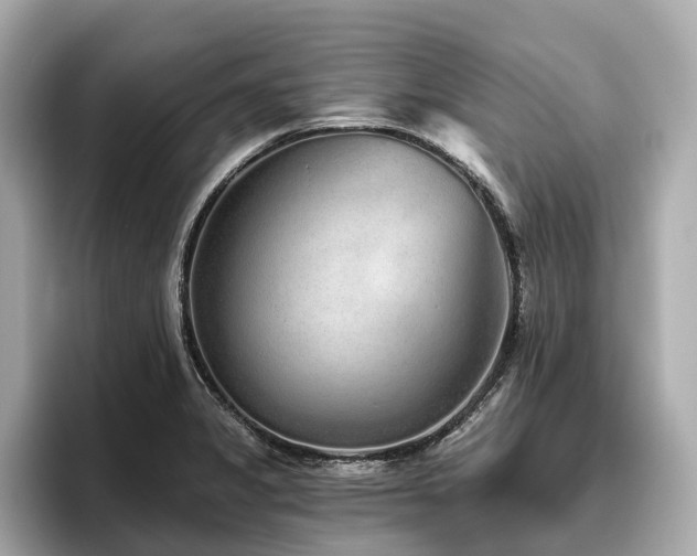 X0000096631325200802051058