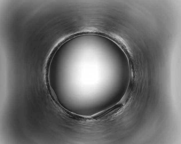 X0000096631326200802051058