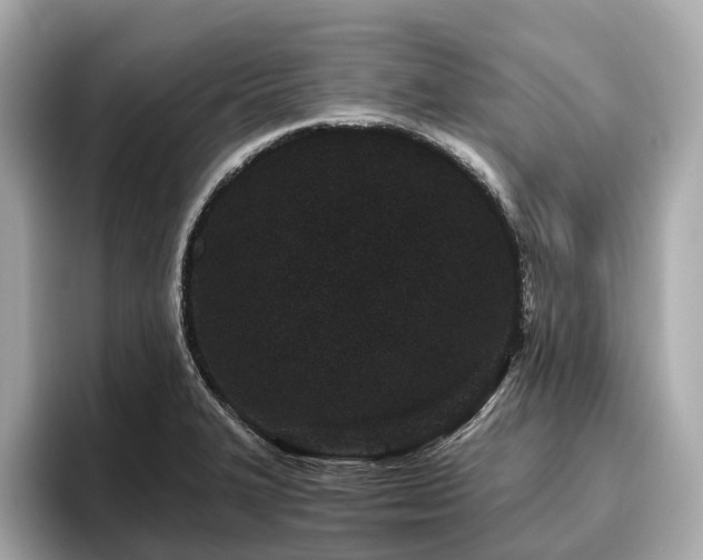 X0000096631327200802051058