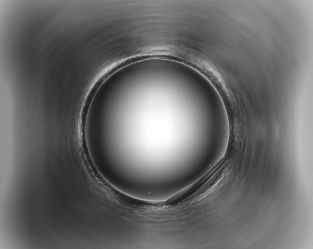X0000096631328200802051058