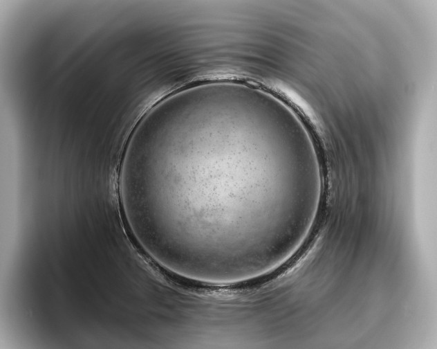 X0000096631329200802051058