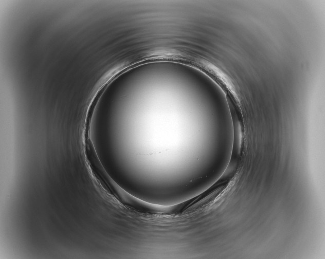 X0000096631330200802051058