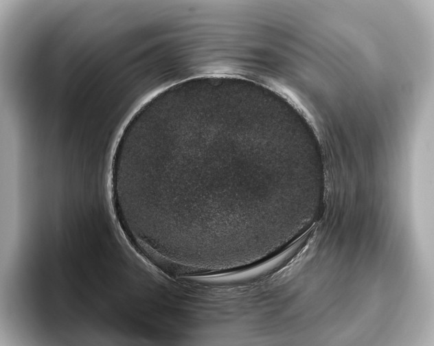 X0000096631331200802051058