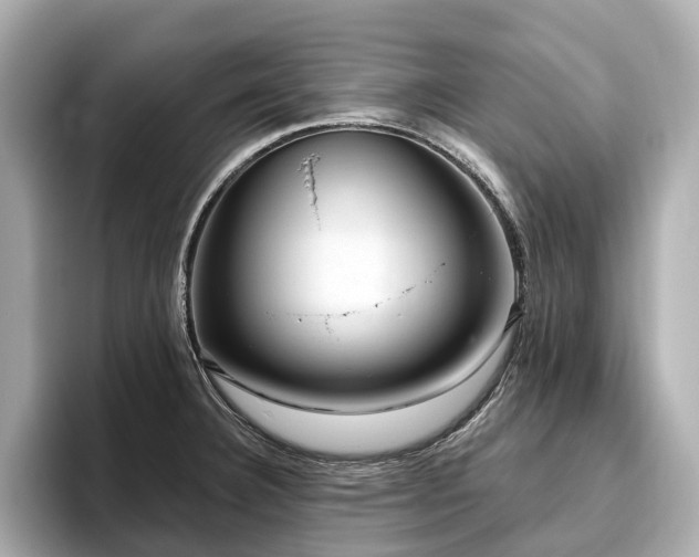 X0000096631332200802051058