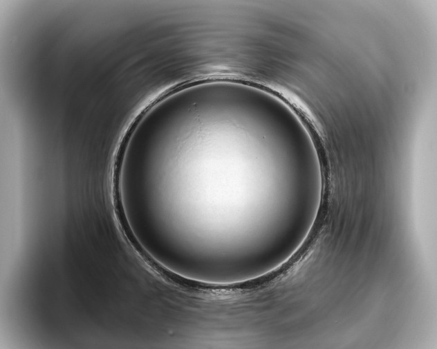 X0000096631333200802051058