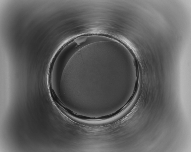X0000096631334200802051058
