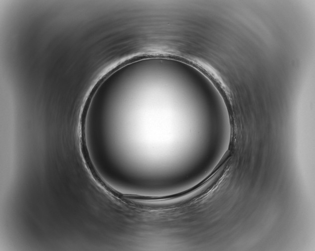 X0000096631335200802051059