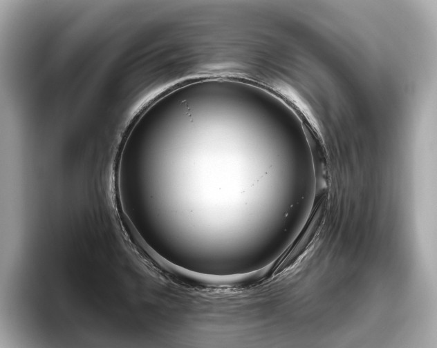 X0000096631336200802051059