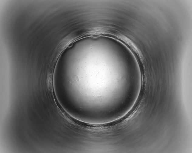 X0000096631337200802051059