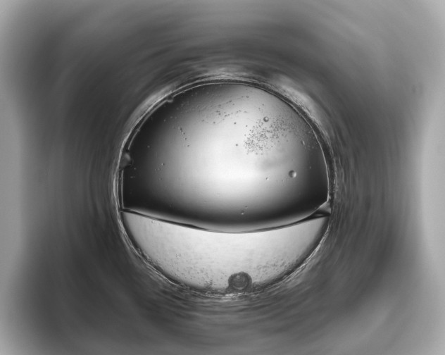 X0000096631338200802051059