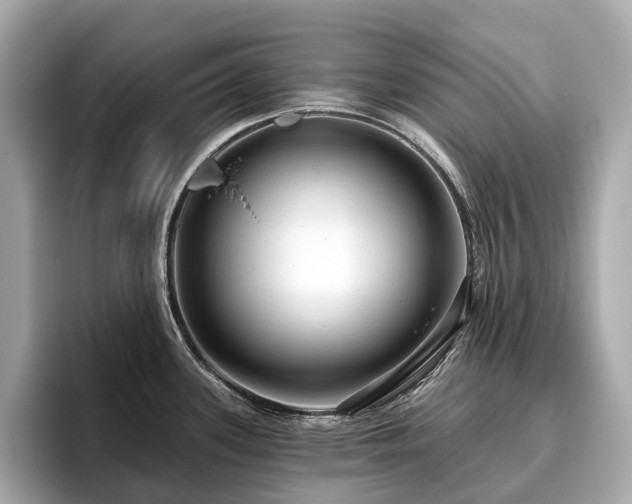 X0000096631339200802051059