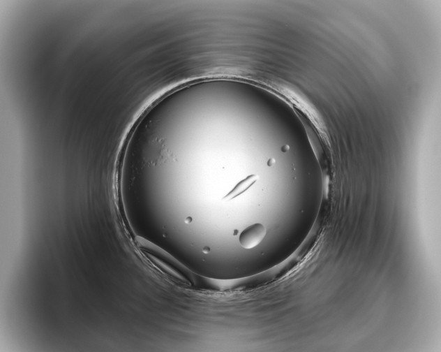 X0000096631340200802051059
