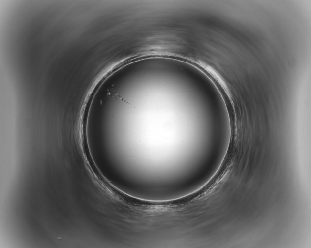 X0000096631341200802051059