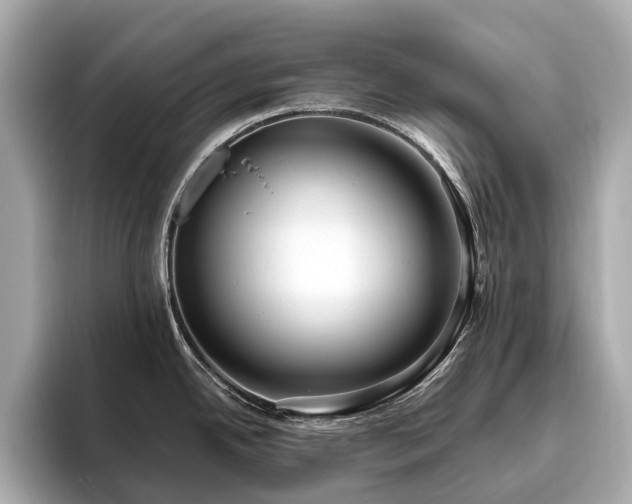 X0000096631342200802051059