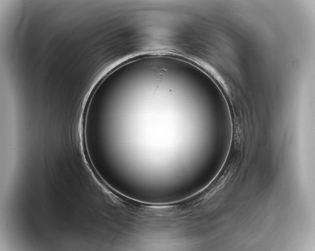 X0000096631343200802051059