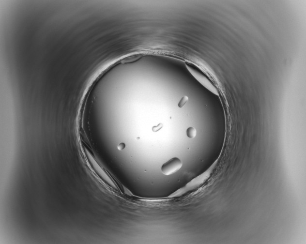 X0000096631344200802051059