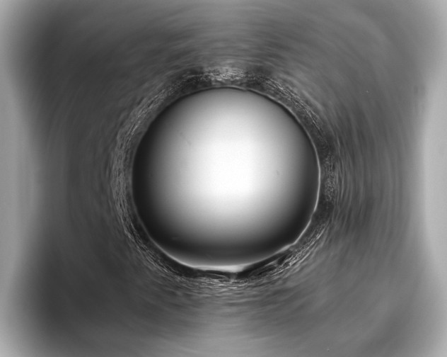 X0000096631345200802051058