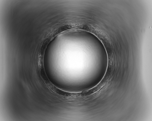 X0000096631346200802051058