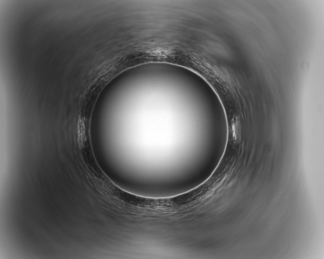 X0000096631347200802051058